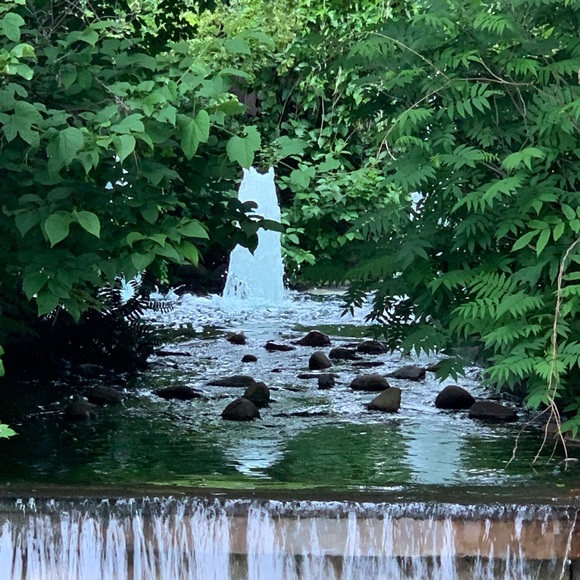 Meet your Posher, Richard - Picture 1 of 1